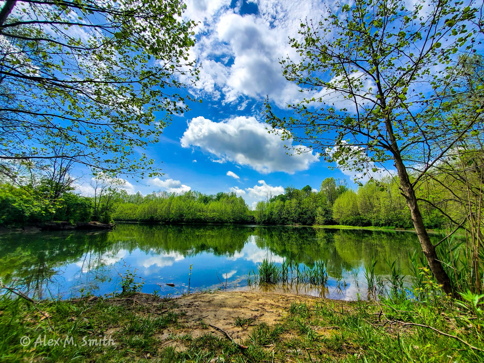 Mounts Park Lake 